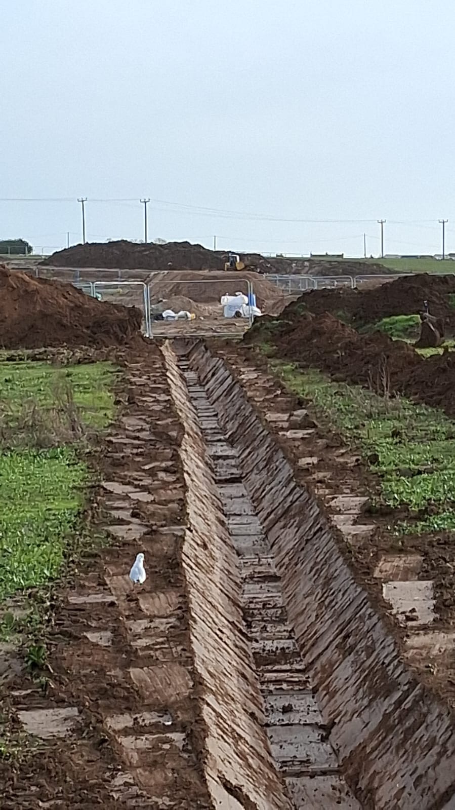 Excavation and trenching
